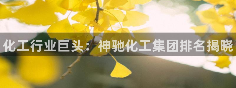 球盟会中国官方网站