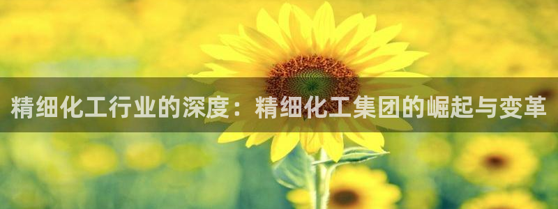 球盟会官网网页版