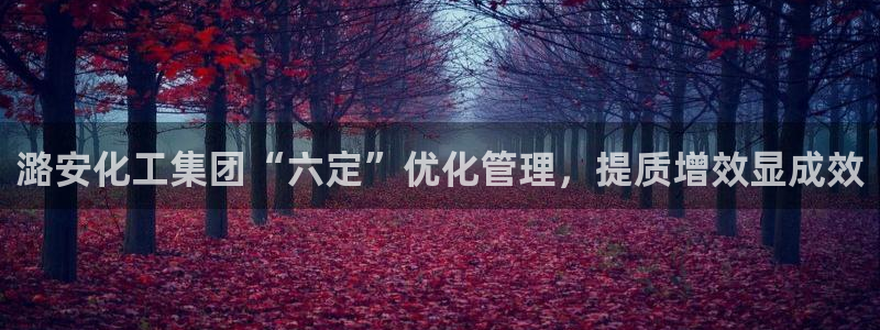 球盟会用的客服聊天是哪个软件