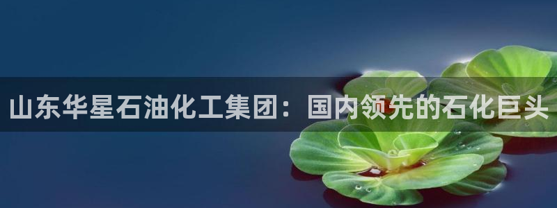 球盟会平台会黑单吗
