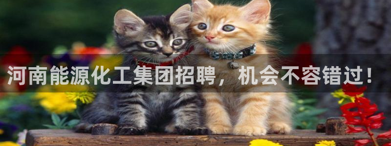 球盟会APP下载