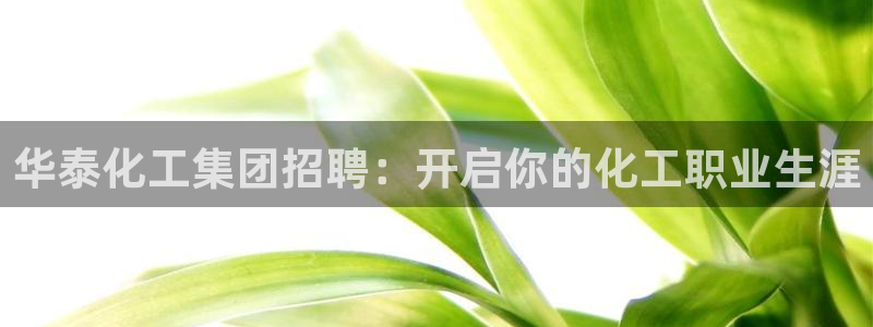 球盟会在线登入