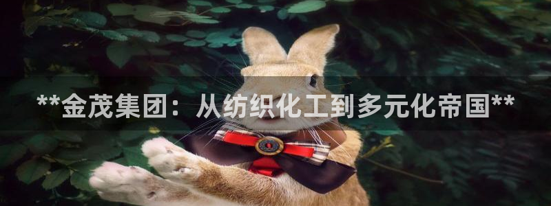 球盟会app网址多少号