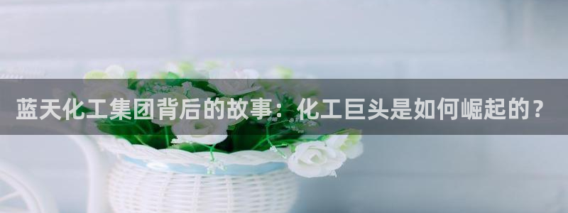 球盟会黑平台