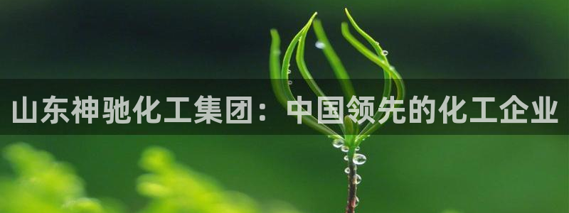 球盟会官方登录平台入口