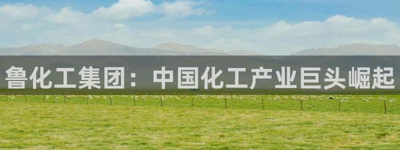 球盟会最新活动