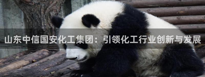 球盟会黑款吗
