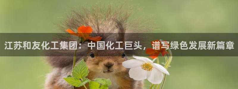 球盟会在线登录