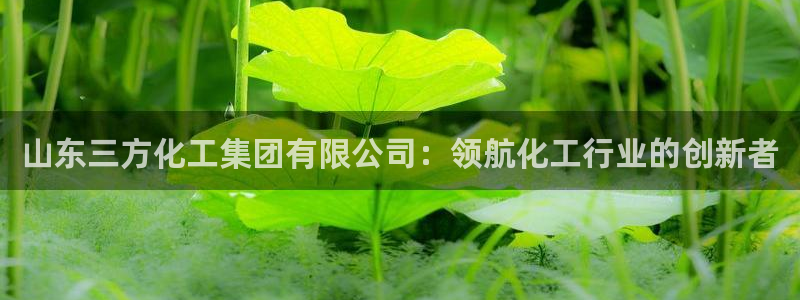 球盟会官方入口