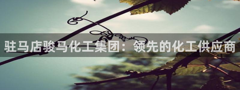 球盟会网页登录入口