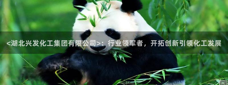 球盟会最新网