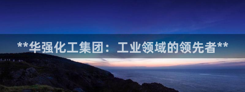 球盟会电子