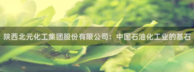 球盟会有限公司怎么样