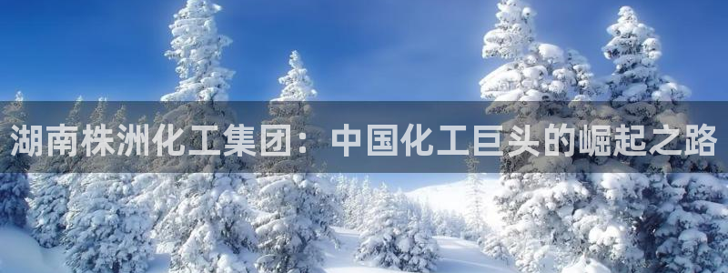 球盟会网页登录