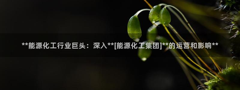 球盟会最新网
