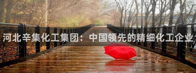 球盟会网页登录入口