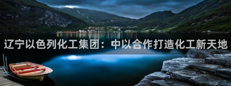 球盟会电子