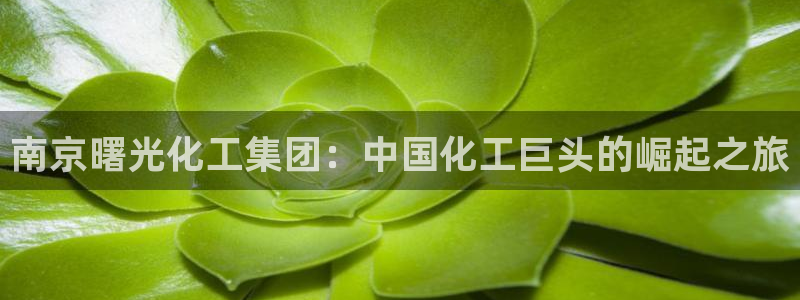 球盟会在线官网