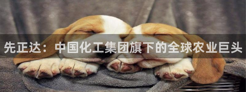球盟会qmh