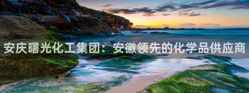 球盟会几点玩合适