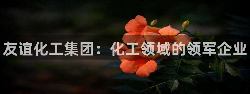 球盟会登陆入口