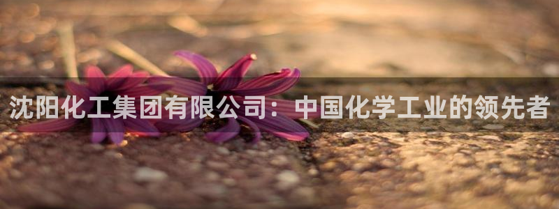 球盟会黑款吗还是白款