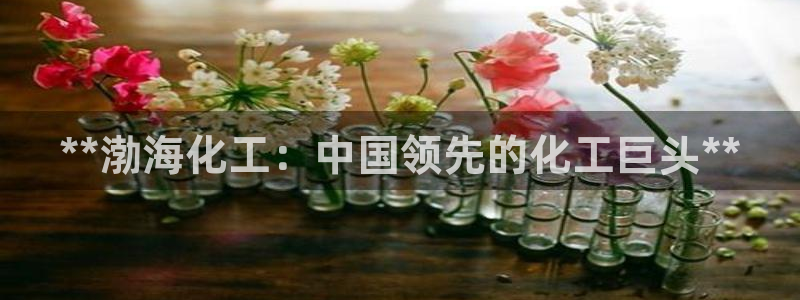 球盟会APP最新地址