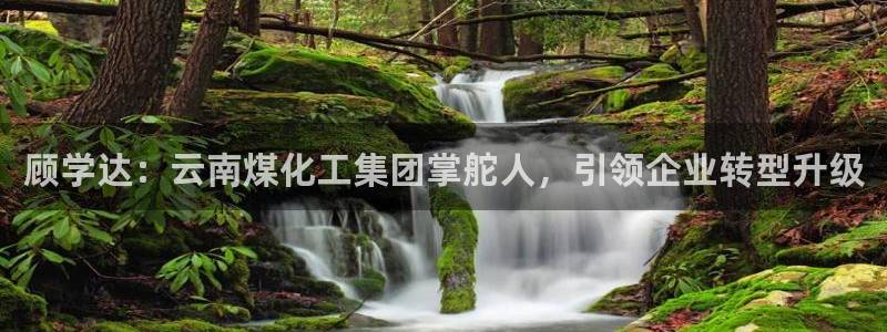 球盟会论坛