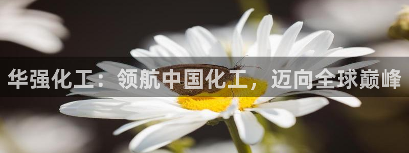 球盟会APP官网