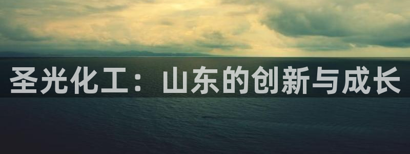 球盟会qmh网址：圣光化工：山东的创新与成长