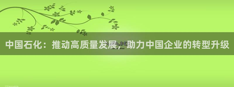 球盟会手机网页版：中国石化：推动高质量发展，助力中国企业的转