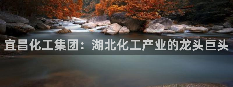 球盟会用的客服聊天是哪个软件