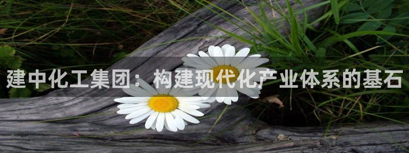 球盟会官网入口