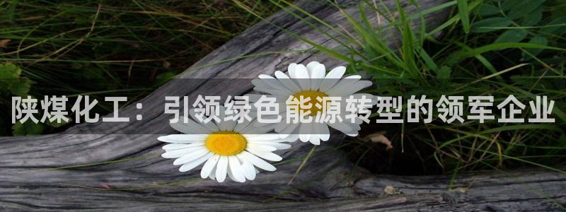 千亿球盟会