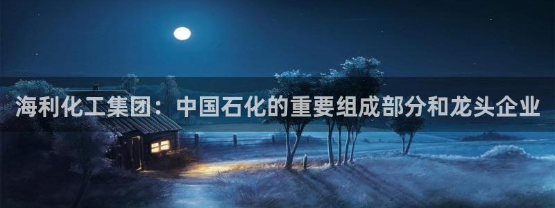 球盟会qm9：海利化工集团：中国石化的重要组成部分和龙头企业
