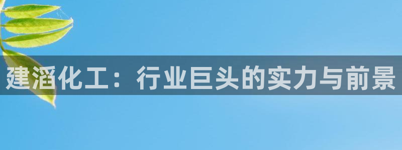 球盟会黑款吗知乎文章