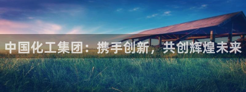 球盟会黑款吗还是白款：中国化工集团：携手