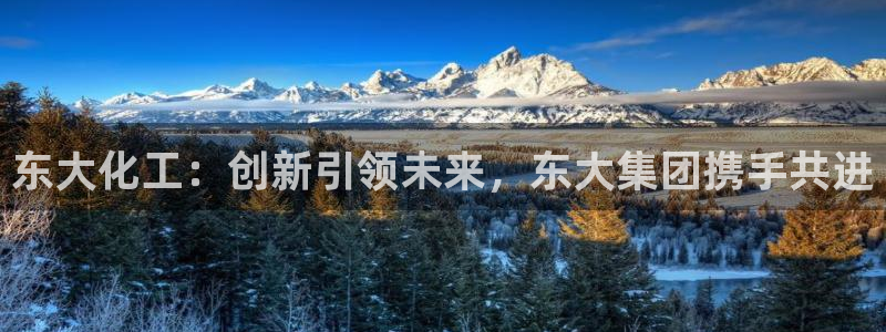 球盟会头号玩家：东大化工：创新引领未来，东大集团携手共进