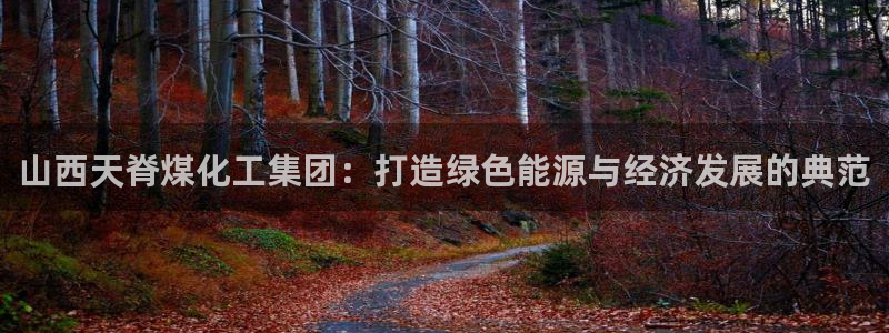 球盟会qm：山西天脊煤化工集团：打造绿色能源与经济发展的典范