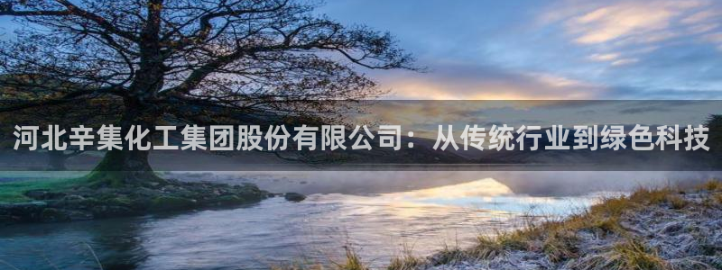 球盟会官网app下载：河北辛集化工集团股份有限公司：从传统行