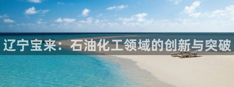 球盟会和中欧：辽宁宝来：石油化工领域的创新与突破
