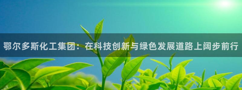 球盟会进不去球员吗：鄂尔多斯化工集团：在科技创新与绿色发展道
