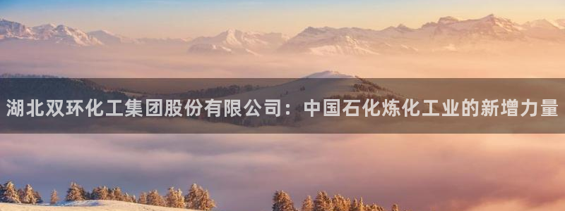 球盟会有没有黑单的：湖北双环化工集团股份有限公司：中国石化炼
