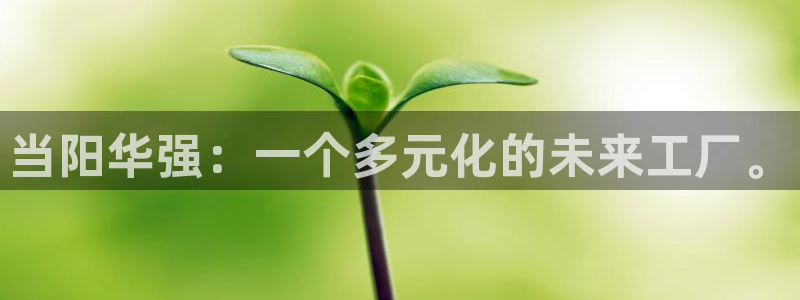 球盟会下款快吗：当阳华强：一个多元化的未来工厂。
