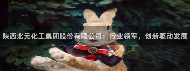 球盟会在线网站：陕西北元化工集团股份有限公司：行业领军，创新