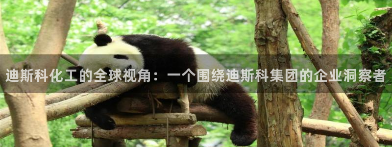 球盟会app安装：迪斯科化工的全球视角：一个围绕迪斯科集团的
