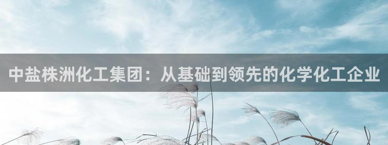 球盟会网址：中盐株洲化工集团：从基础到领先的化学化工企业