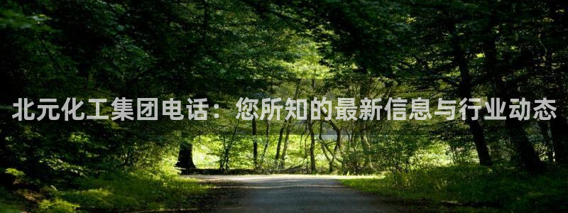 球盟会登陆入口：北元化工集团电话：您所知的最新信息与行业动态