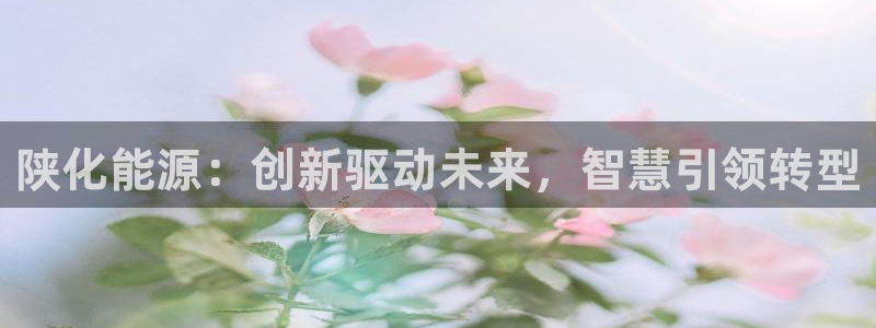 球盟会有限公司怎么样：陕化能源：创新驱动未来，智慧引领转型