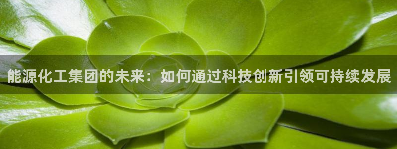 球盟会APP官网：能源化工集团的未来：如